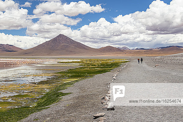 Zwei Menschen gehen auf einer Straße an Flamingos vorbei an der Laguna Colorada  Eduardo-Avaroa-Nationalpark; Abteilung Potosi  Bolivien