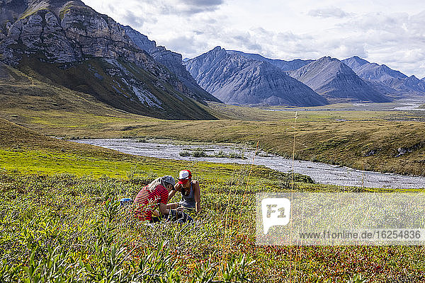 Two caucasian women picking wild blueberries in the tundra  with a creek running behind them flowing out of the mountains in the background on a sunny day in the Marsh Fork valley in the Brooks Range  Arctic National Wildlife Refuge; Alaska  United States of America