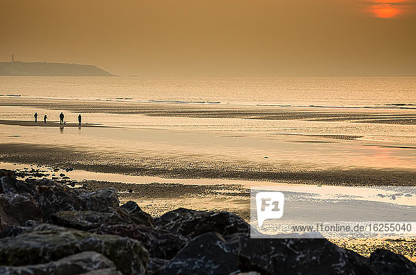 Eine Familie spaziert bei Sonnenuntergang an einem einsamen Strand in Nordfrankreich; Wissant  Nord Pas de Calais  Frankreich