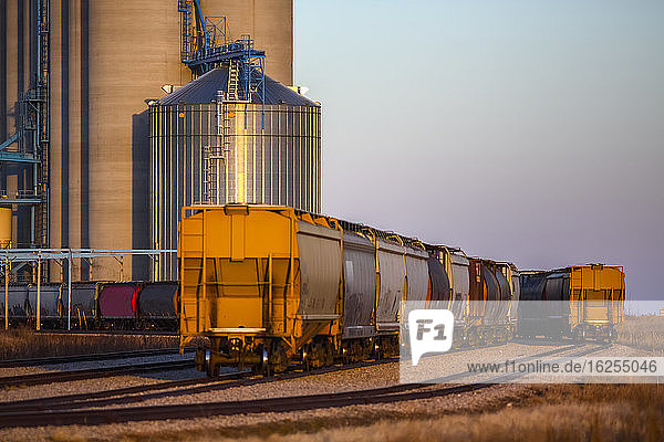 Schüttgutwagen auf einem Zug neben einem Getreidelager; Alberta  Kanada