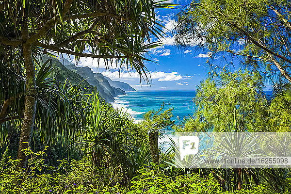 Na Pali Coast entlang des Kalalau Trail mit türkisfarbenem Ozean unter blauem Himmel  Blick durch tropisches Laub  Na Pali Coast State Park; Kauai  Hawaii  Vereinigte Staaten von Amerika