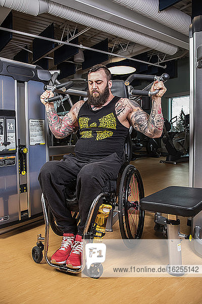 A paraplegic man working out using an overhead press in fitness facility; Sherwood Park  Alberta  Canada