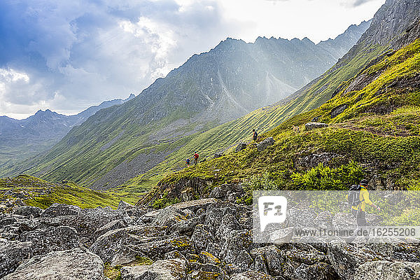 A caucasian male hikes across a boulder field  catching up to two caucasian women and one asian male and their dogs while the hike the very rocky/bouldery Reed Lakes trail through the Talkeetna Mountains in Hatcher's Pass  Palmer  Alaska  in late afternoon in the summer with fireweed in bloom in the background; Palmer  Alaska  United States of America