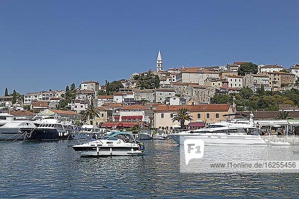 Port  Vrsar  Istria  Croatia  Europe
