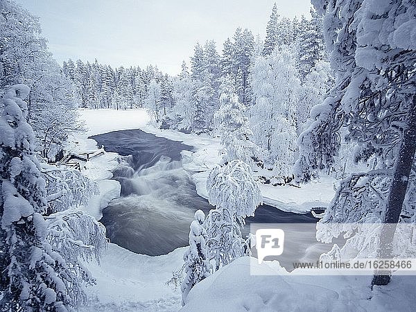 Kitkajoki-Fluss im Oulanka-Nationalpark bei Kuusamo Finnland Winter