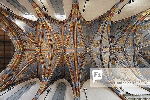 Prachtvolles Deckenfresko, Trinitatiskirche, Stadtkirche, Augustiner-Chorherrenstift, Kloster, Langenzenn, Mittelfranken, Franken, Bayern, Deutschland, Europa