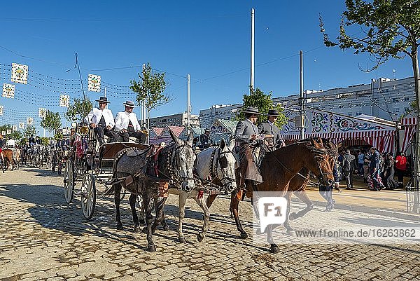 Decorated horse-drawn carriage  rear Casetas  Feria de Abril  Sevilla  Andalusia  Spain  Europe