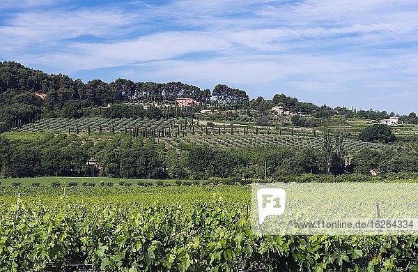 Landhaus in provenzalischer Hügellandschaft  Roussillon  Provence  Département Vaucluse  Region Provence-Alpes-Cote d`Azur  Frankreich  Europa