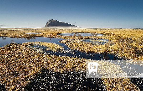 Moorland covered by water channels  with Hoven mountain tops in the background  Vågan  Lofoten  Nordland  Norway  Europe