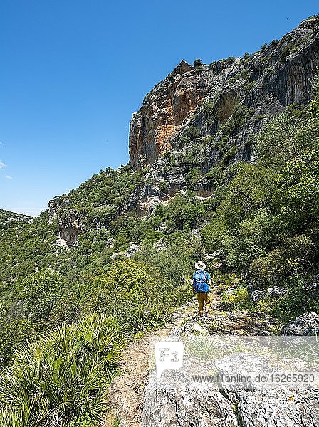 Hiker on a hiking trail  The Green Gorge  Garganta Verde  Sierra de Cádiz  Cadiz  Spain  Europe
