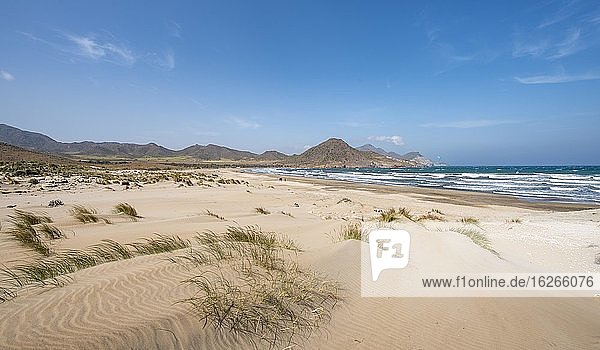 Sand dunes on the beach  Playa de Los Genoveses  Cabo de Gata-Nijar National Park  Almería  Spain  Europe