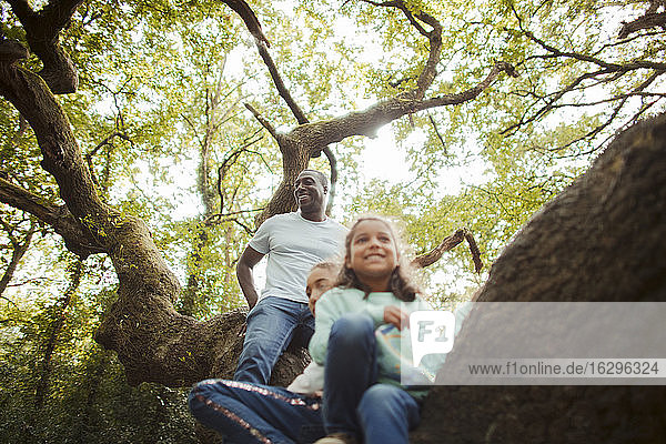 Glücklicher Vater und glückliche Töchter klettern auf Baum