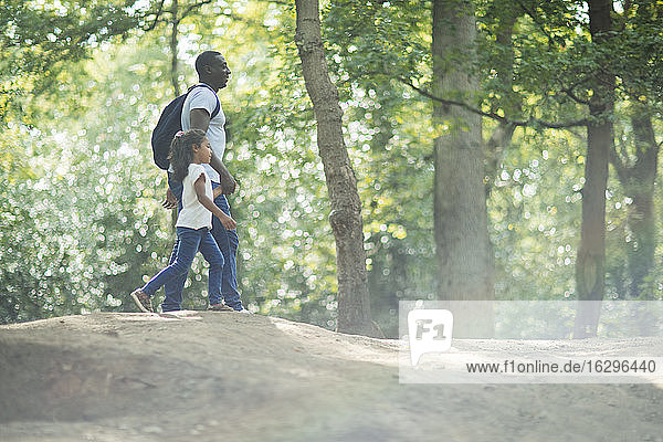 Vater und Tochter beim Händchenhalten beim Wandern in sonnigen Sommerwäldern