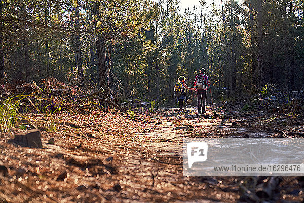 Young couple with backpacks hiking in sunny woods