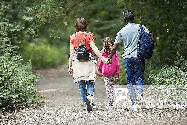 Family holding hands walking on path in woods