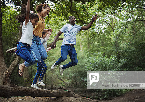 Carefree family jumping off fallen log in woods