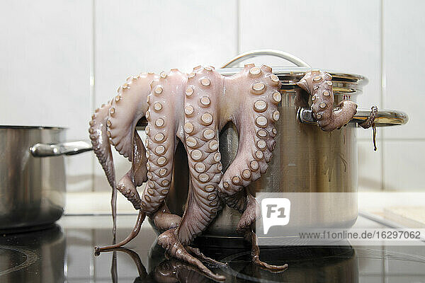 Kochen von Oktopus im Gefäß
