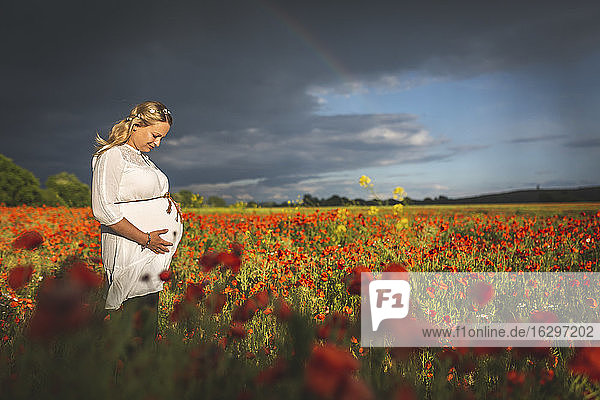 Schwangere Frau mit Händen auf dem Bauch steht inmitten von Mohnblumen gegen bewölkten Himmel