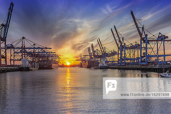 Germany  Hamburg  Port of Hamburg  Container Terminal and container cranes in the evening