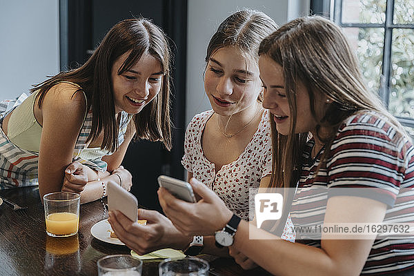 Gruppe von Mädchen im Teenageralter  die sich zum Brunch treffen und auf ihre Smartphones schauen