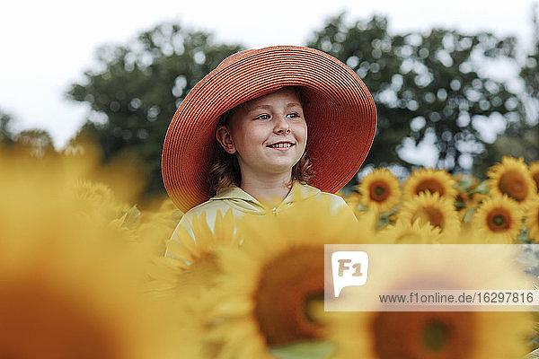 Lächelndes Mädchen  das im Sommer in einem Sonnenblumenfeld steht und wegschaut
