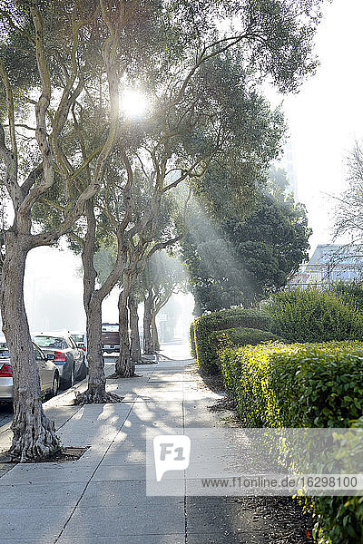 USA  California  San Francisco  sunbeams shining on walkway through fog