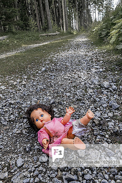 Österreich  Linz  Puppe liegend auf Waldweg