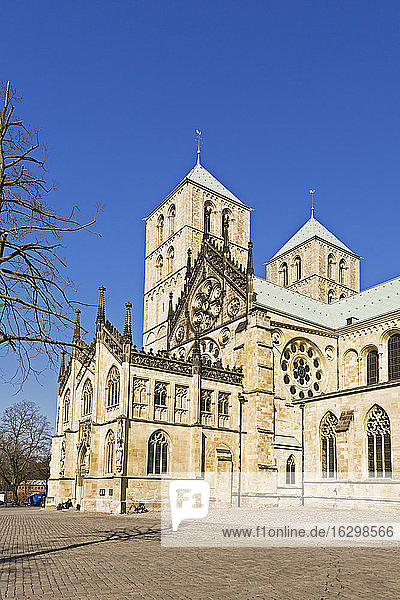 Deutschland  Nordrhein-Westfalen  Münster  Spiegelung des Doms an Glasfassade