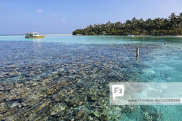 Malediven  Nord Male Atoll  Aisen  Korallen vor einer Insel