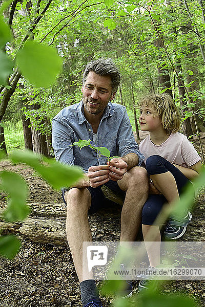 Lächelnder Vater im Gespräch mit seiner Tochter  während er auf einem Baumstamm im Wald sitzt
