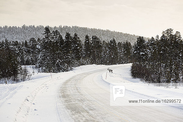 Finnland  Winterlandschaft bei Inari