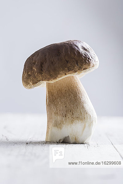 Kiefernpilz auf Holztisch