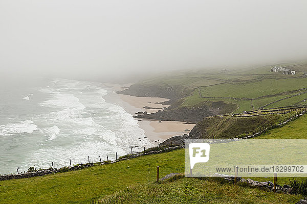 Irland  Grafschaft Kerry  Blick auf die neblige Bucht der Dingle-Halbinsel