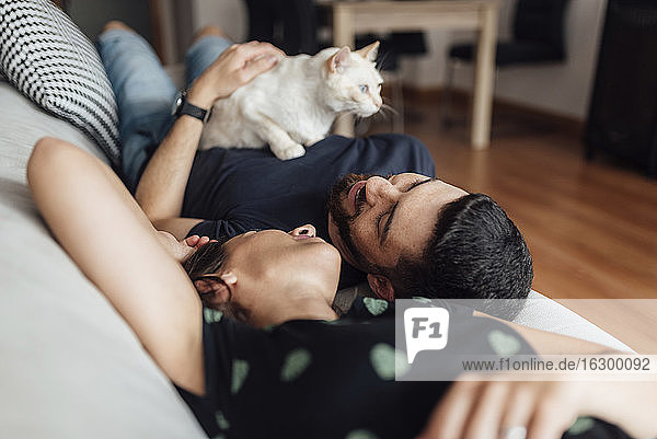 Junge Frau und mittlerer erwachsener Mann liegen auf dem Sofa und teilen Zärtlichkeiten mit der Katze zu Hause