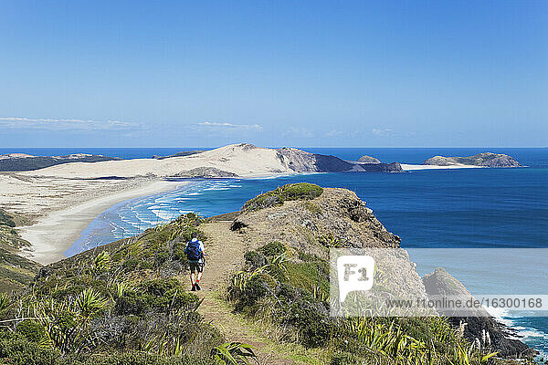 Neuseeland  Northland  Cape Reinga Gebiet  Mann wandert Cape Maria van Diemen Trail