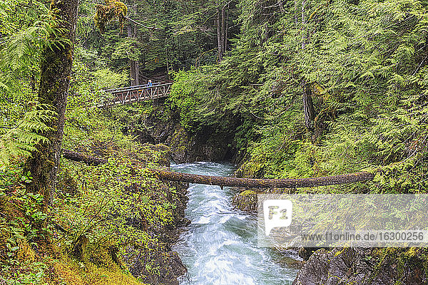 Canada  British Columbia  Vancouver Island  Little Qualicum Falls Provincial Park