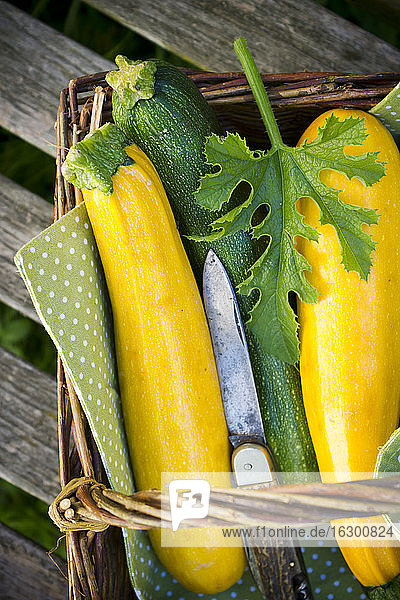 Studio  Zucchini im Korb auf Holztisch  Nahaufnahme