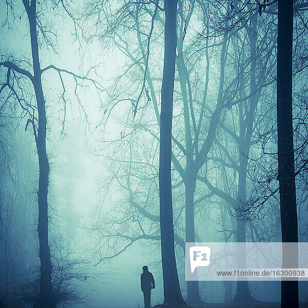 Silhouette eines Mannes im nebligen Wald bei Gegenlicht