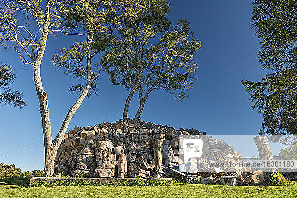 Australien  New South Wales  Dorrigo  Brennholzstapel unter Bäumen