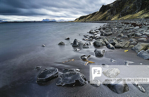 Island  Austurland  Nordatlantik  Hvitserkur  Strand mit Steinen