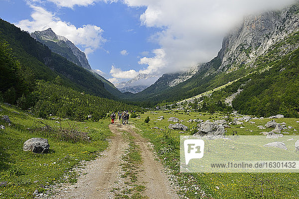 Montenegro  Group of hikers in Ropojana valley
