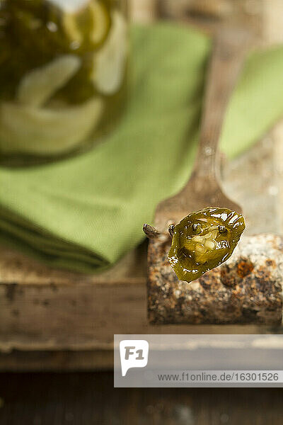 Eingelegte Jalapeno-Chilis (Capsicum annuum) im Glas  Jalapeno-Scheibe auf Gabel  Studioaufnahme