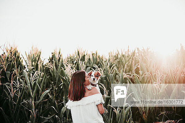 Rückansicht einer jungen Frau mit Hund im Kornfeld bei Sonnenuntergang