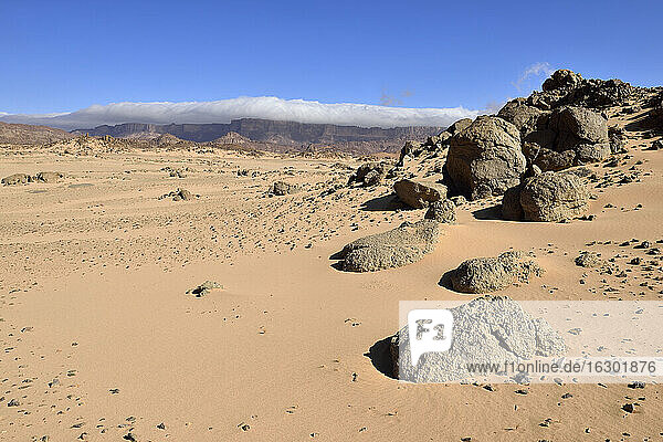 Algerien  Sahara  Nationalpark Tassili N'Ajjer  Hochebene von Tassili N'Ajjer
