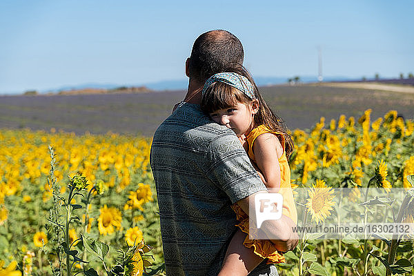 Vater trägt Tochter im Sommer in einem Sonnenblumenfeld
