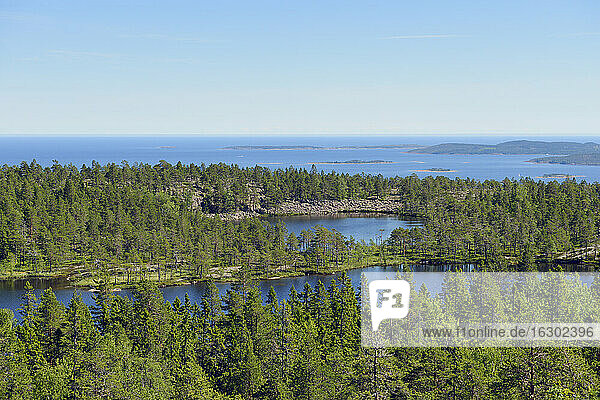 Schweden  Oernskoeldsvik  Skuleskogen National Park mit Seen und Ostsee