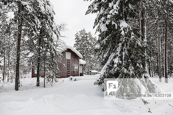 Skandinavien  Finnland  Kittilaentie  Leere Holzhütte im Wald im Winter