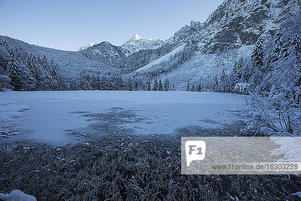 Germany  Bavaria  Inzell  Frillensee lake in winter