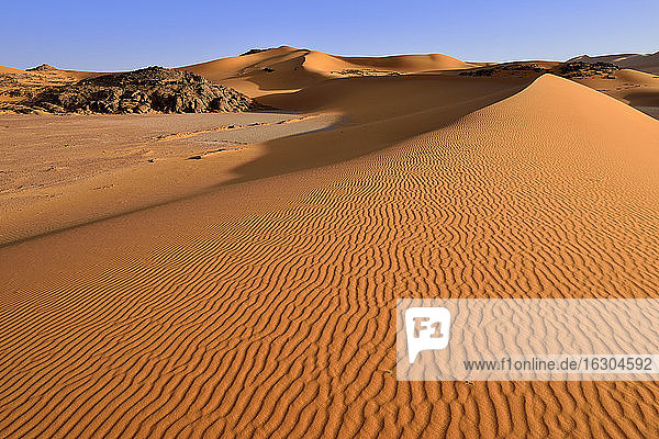 Afrika  Algerien  Sahara  Tassili N'Ajjer National Park  Tadrart  Felsen und Sanddünen am Oued in Djerane