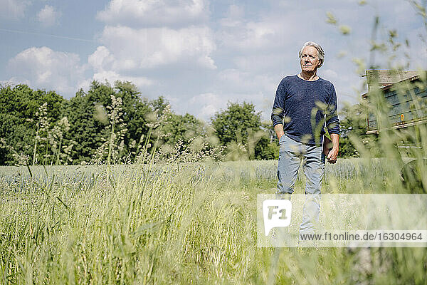 Runzliger Mann mit Laptop geht über Gras in einem landwirtschaftlichen Feld